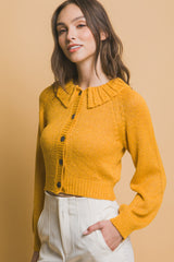 Short Collared Sweater