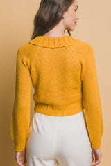 Short Collared Sweater